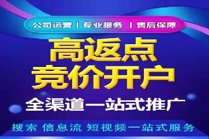 百度推广在电商行业的应用案例分析